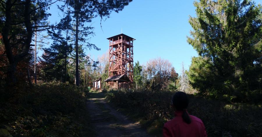 Eliaszówka - Beskid Sądecki - zdjęcie