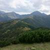 , Marcin M