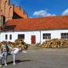 Zamek Bierzgłowski, kasia ejsmont