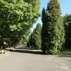 Park Planty, Joanna