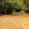 Park Planty, Joanna