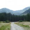, Marcin M