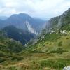 , Marcin M