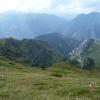 , Marcin M