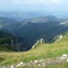 , Marcin M