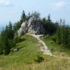 , Marcin M