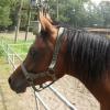, Joanna
