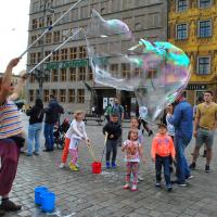 Rynek we Wrocławiu, kasia ejsmont