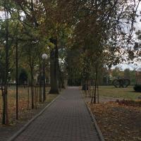 , Marcin_Henioo