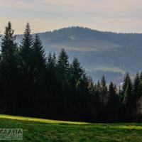 Pahorok i okolica, Fasola na Szlaku