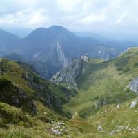 , Marcin M