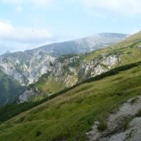 , Marcin M