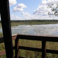 widok z wieży na Stawy Pieszowolskie, Joanna