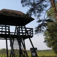wieża widokowa przy Durnym Bagnie, Joanna