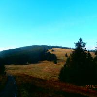 W drodze na Palenicę, kristofhetvenharom
