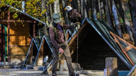 W Parku ..., Fasola na Szlaku