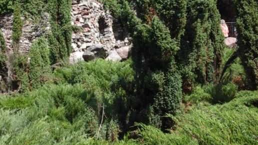 Golgota, Jola
