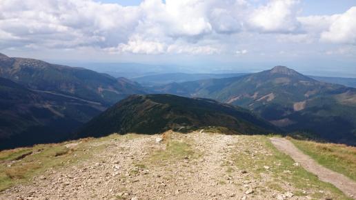 , Marcin M