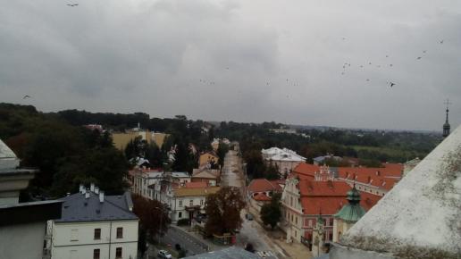 , Jola