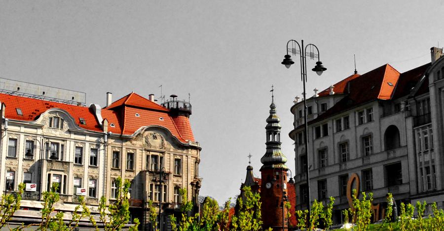 Na północ od Grodziska. - zdjęcie