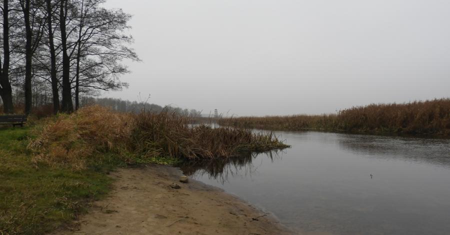 Biebrza po sezonie - zdjęcie