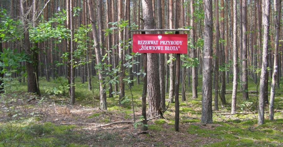 Sobibór i okolice - zdjęcie