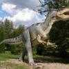 próba złapania dinozaura za ogon?, Joanna