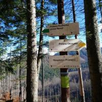 Na Nosalowej Przełęczy, EmiZtg