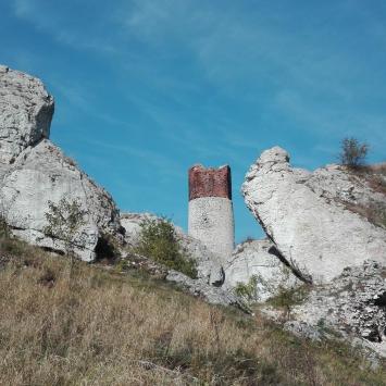 , mirosław