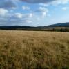 , Marcin M