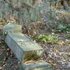 , Marcin M