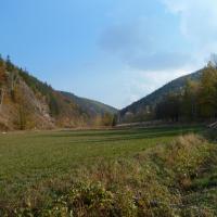 , Marcin M