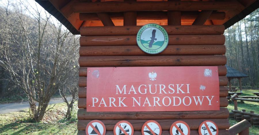 Beskid Niski - Magura Wątkowska - zdjęcie