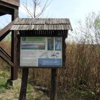 przy wieży widokowej na Fort II Twierdzy Osowiec, Joanna