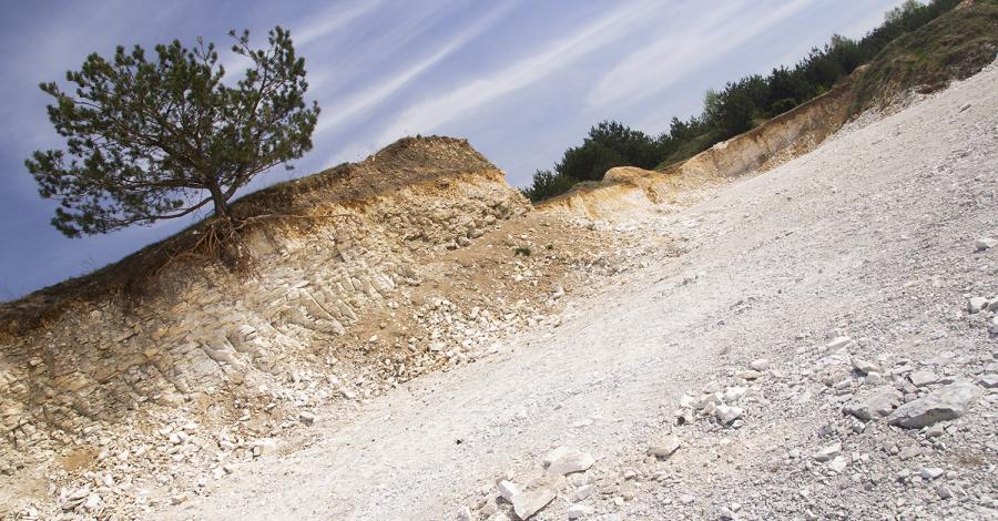 Rocznicowa Jura - Kamieniołom Warszawski, Ostrężnik i Złoty Potok - zdjęcie