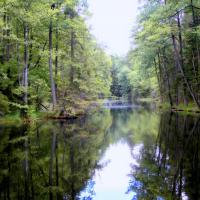 Czarny Staw, Magdalena