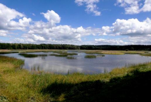 Stawy Echo, Magdalena
