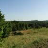 widok w stronę Niegowej, Joanna