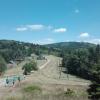 , mirosław