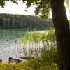 Łagów Jezioro Trześniowskie