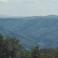 , mirosław