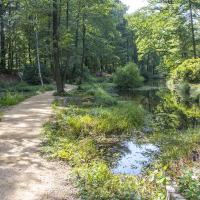 Kromlau Park rododendronów
