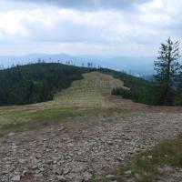 , Piotr Galas