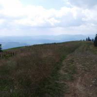 , Piotr Galas