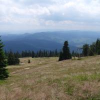 , Piotr Galas