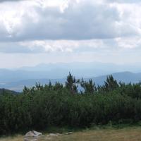 , Piotr Galas