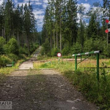 na ścieżce spacerowo-sportowej Sól-Zwardoń, Fasola na Szlaku