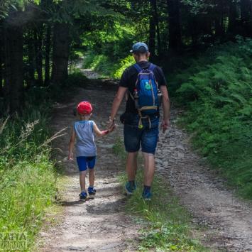 senior i junior w drodze na Koźliczyne, Fasola na Szlaku