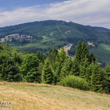 widoki z polany ..., Fasola na Szlaku