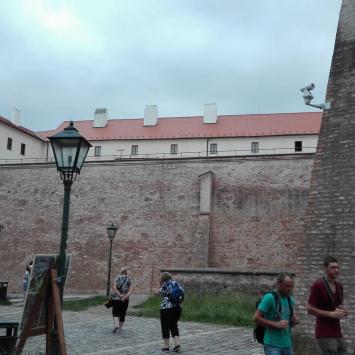 , mirosław
